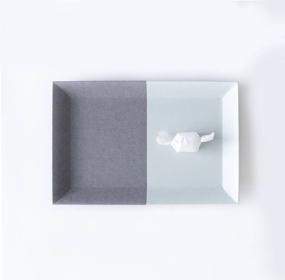 TWO TRAY Waterrepelling Tray Organizer beautiful Japan paper: Camel/Indigo