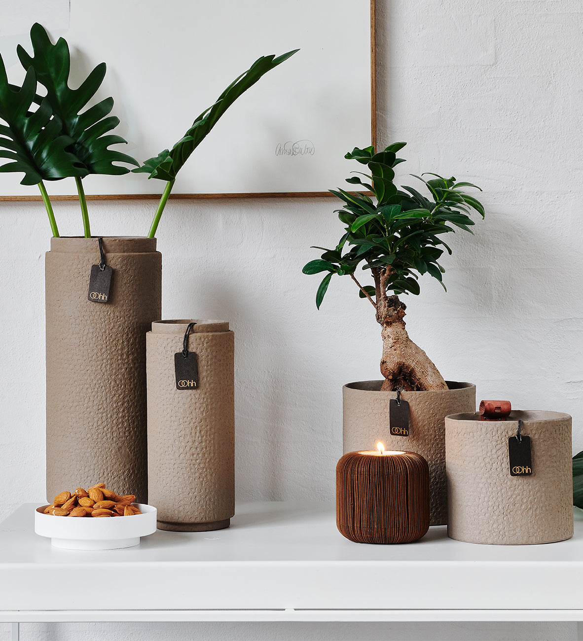 Decorative vases and plants on a white surface with a neutral background
