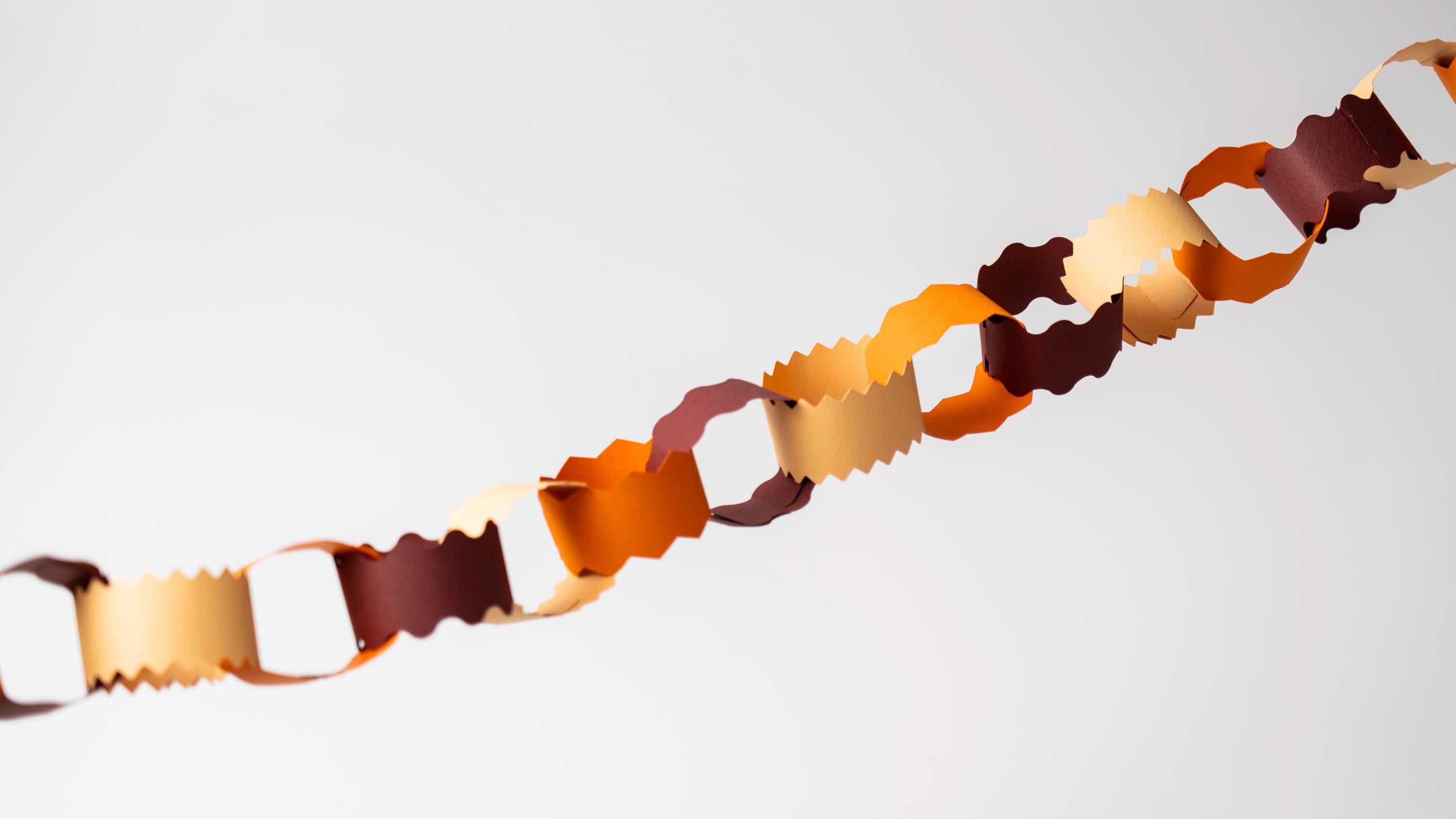 Earthy Tones Paper Chain Garland, Autumn Home Decor, 3m long, 118inch