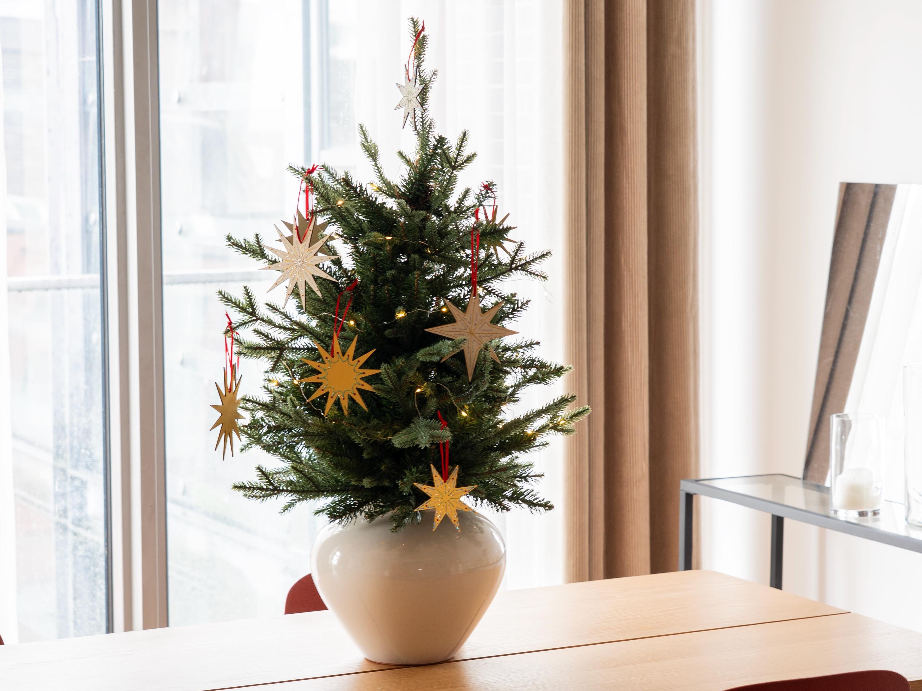 Minimal Star Ornament, Hand decorated, Nordic Christmas Decor, 5in